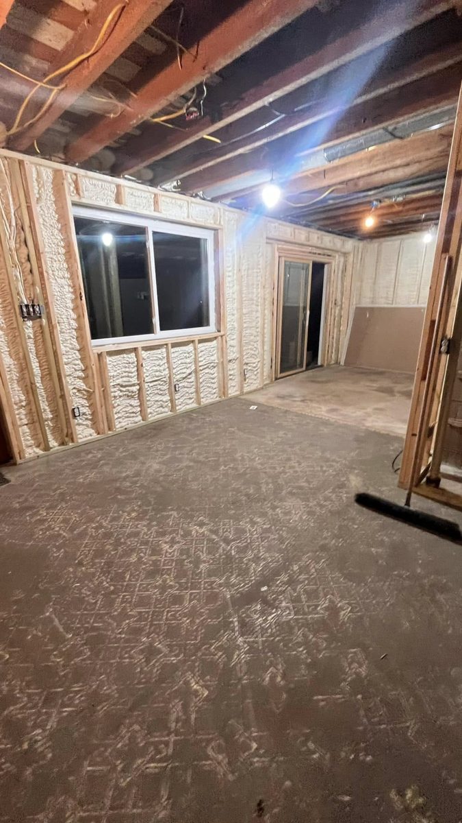 Basement Remodel - Before Drywall 2