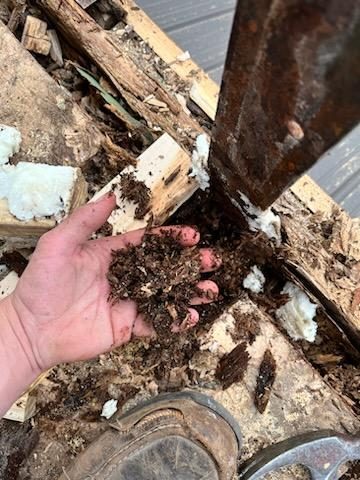 Structure - Under Construction - Rotted Wood