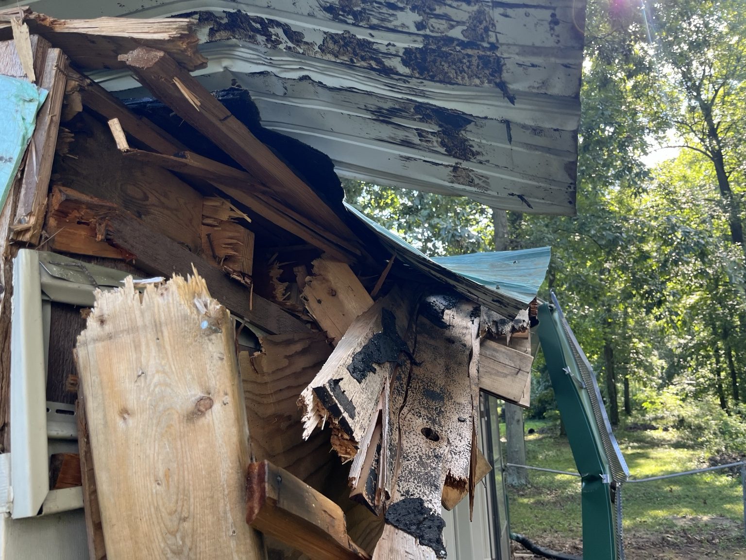 Tree Damage - Insurance Claim - Before - Close up